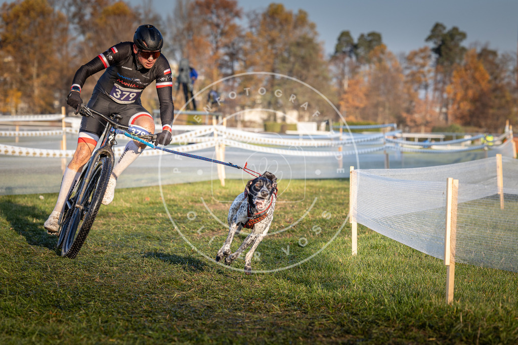 CaniXpix_0L8A3717 | Hundefotografie, Tierfotograf, Pfotenfotografie, Fotoshooting Hund, Hunde Portrait, Hundesport, Hundeportraits, Heideshooting, Hunde, Sportfotograf, Hundefotograf, Turnierhundsport, THS,  - Realisiert mit Pictrs.com