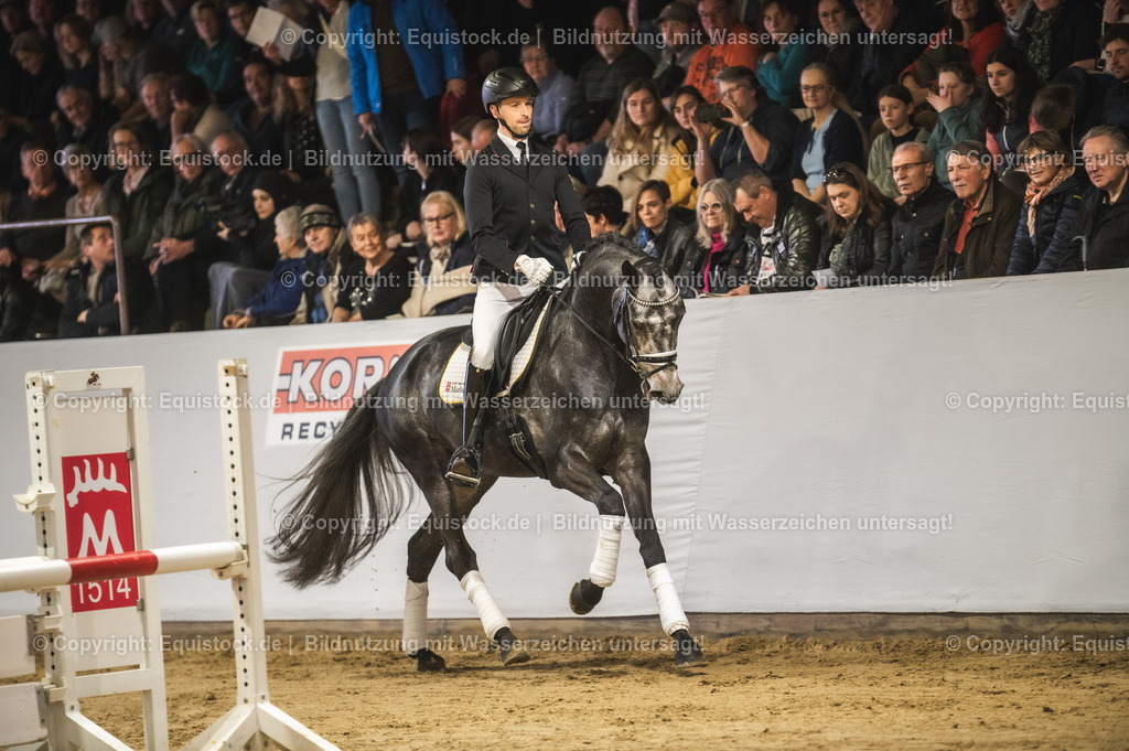 20240302_Hengstvorstellung_Marbach_TOMsPiC_0183 | equistock