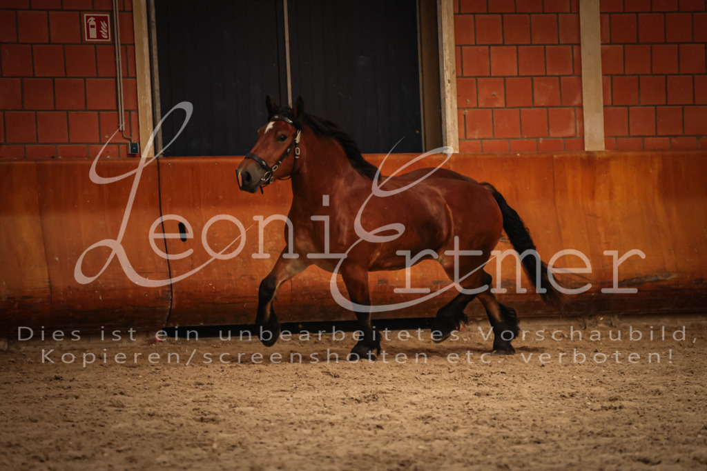 SaFL00154 | Leoni Ertmer Photography - Realisiert mit Pictrs.com