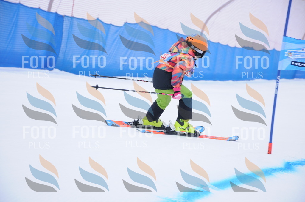 DSC_7722 | holidayphoto