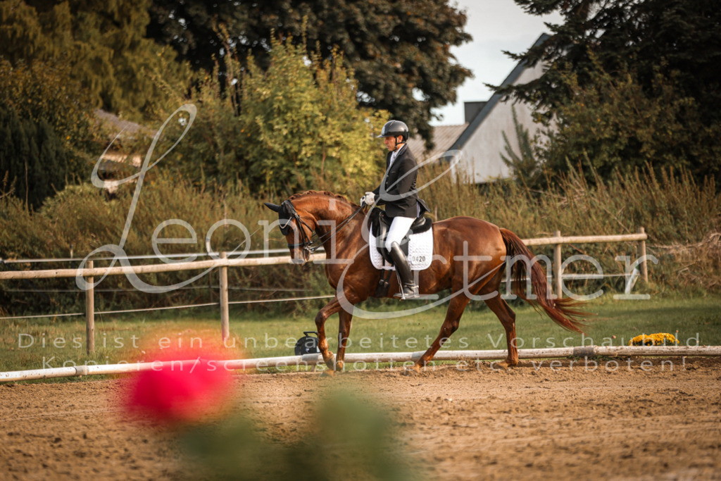 17.SoDrM00492 | Leoni Ertmer Photography - Realisiert mit Pictrs.com