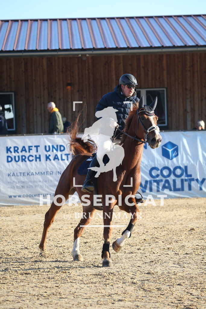 DL2Q0616 | Willkommen bei Brunnmayr - Design & Fotografie – Ihrem Spezialisten für Reitturniere und Pferdeveranstaltungen in Oberösterreich, Salzburg und Bayern! Seit über 17 Jahren sind wir leidenschaftlich dabei.