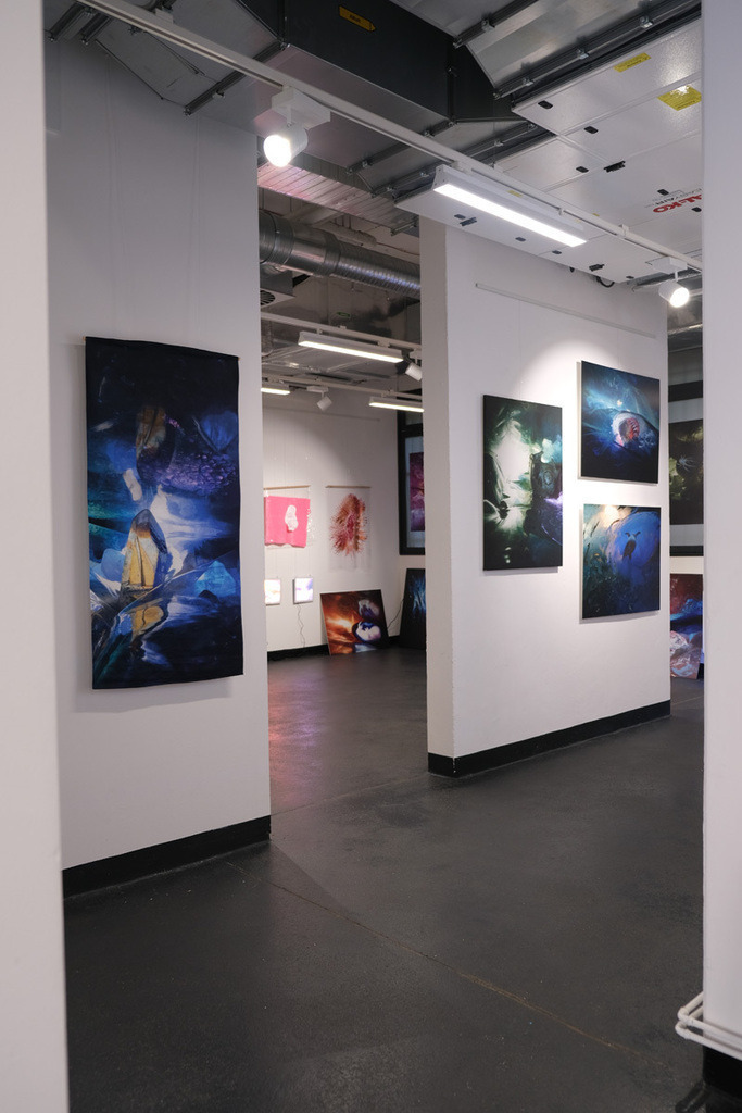 Impressionen Ausstellung | cornelia-geissler - Realisiert mit Pictrs.com