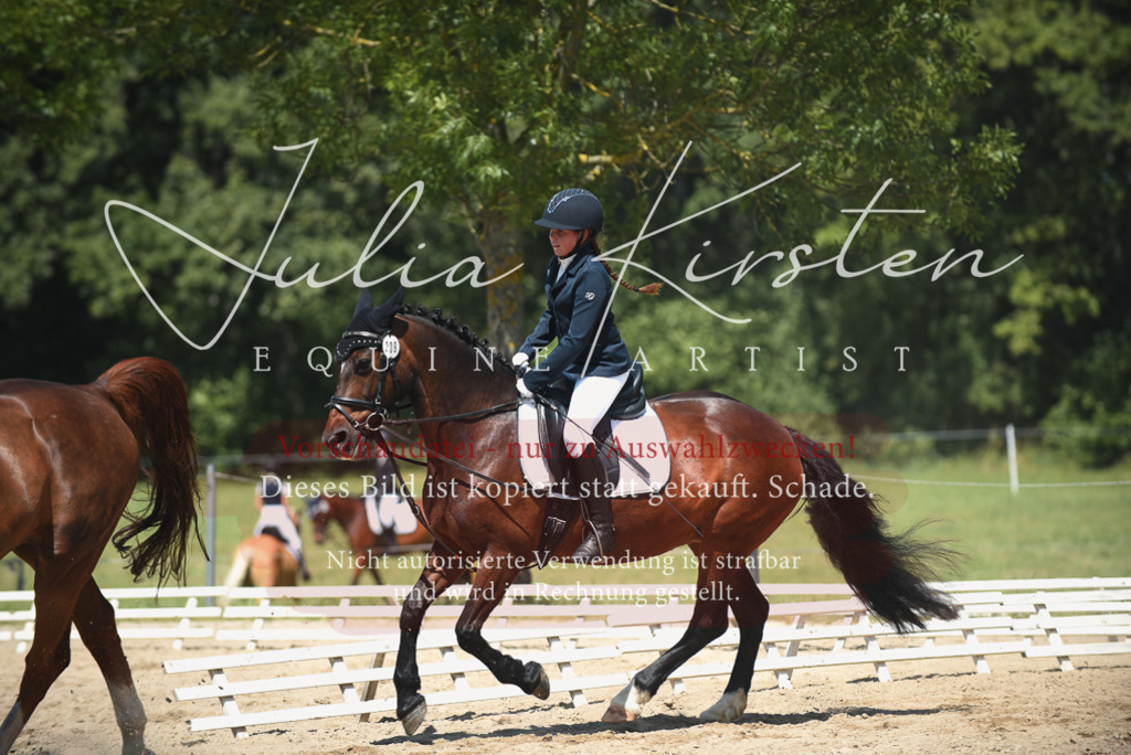 DSC_2195 | Pferde- und Turnierfotografie in Westsachsen. Pferdeportraits, Auftragszeichnungen und intuitive Kunst.