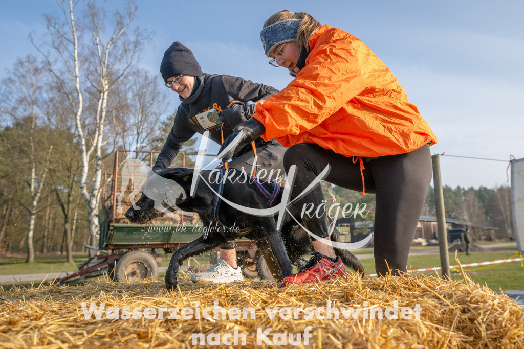 _ZZ91154 | kk-dogfotos