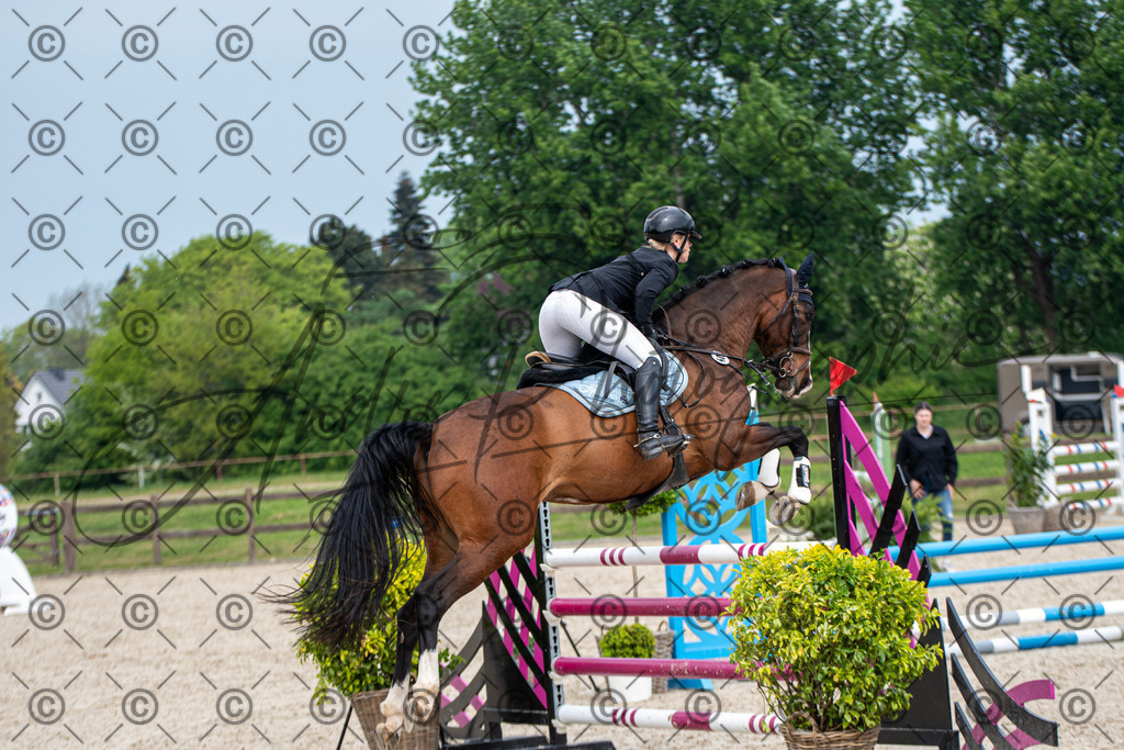 KPT_3377 | andre_photographic