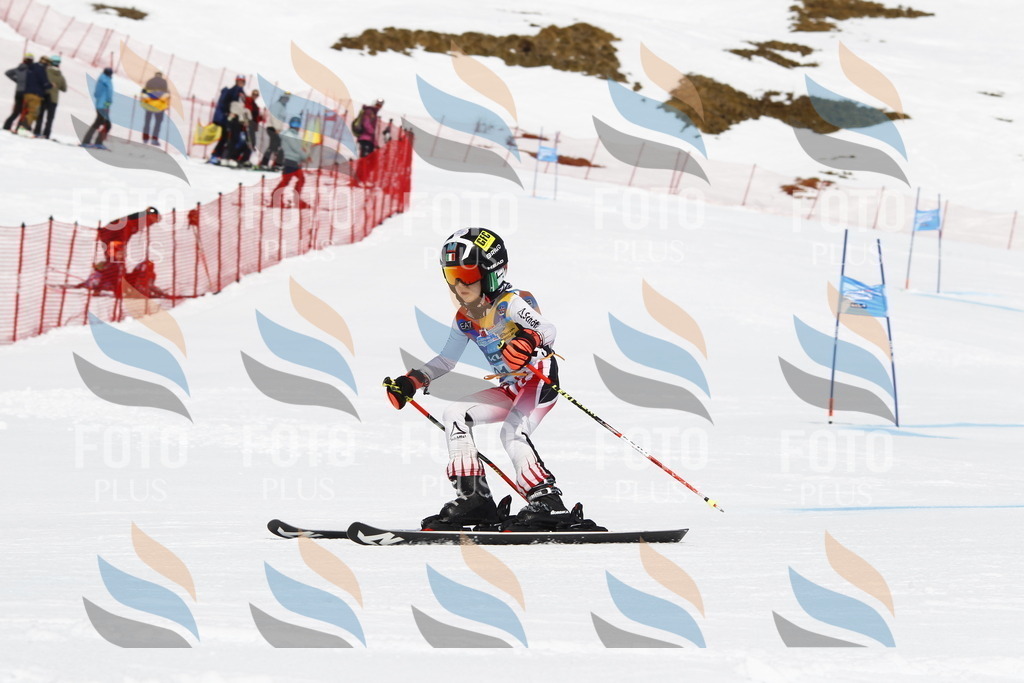 _U3G5481 | holidayphoto