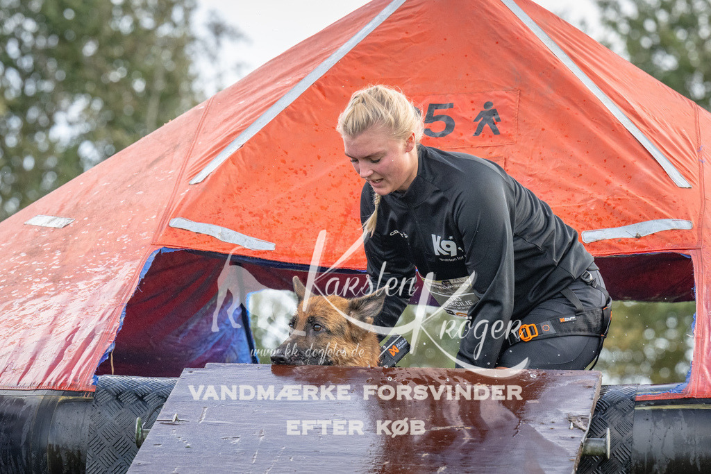 1217-93139 | kk-dogfotos