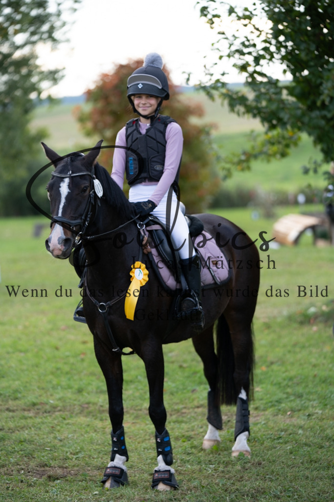 A7V03118 | Pferdefotograf