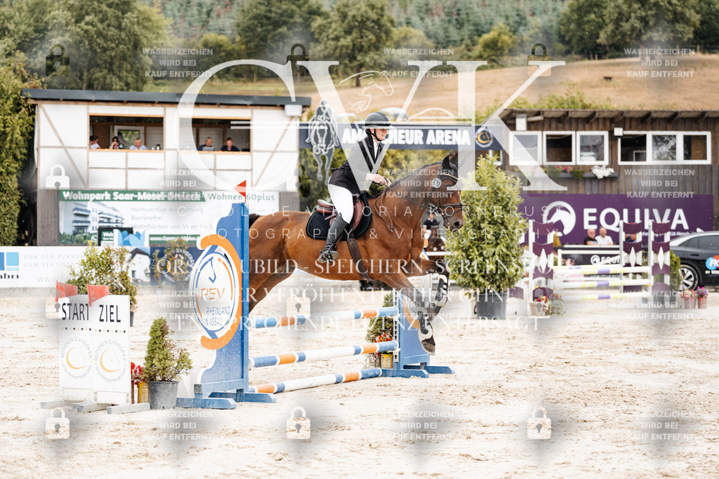 CK908477 | Turnierfotografie Pferdefotografie Trier Rheinland-Pfalz Pferdesport Reitsport Tierfotografie Sportfotografie Pferdevideo Pferdevideografie Equestrianvideography equestrianphotography  - Realisiert mit Pictrs.com
