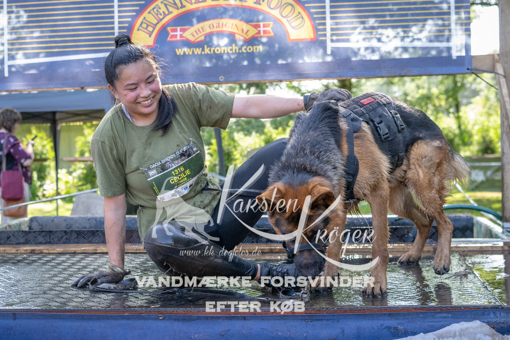 1528_ZZ91502 | kk-dogfotos