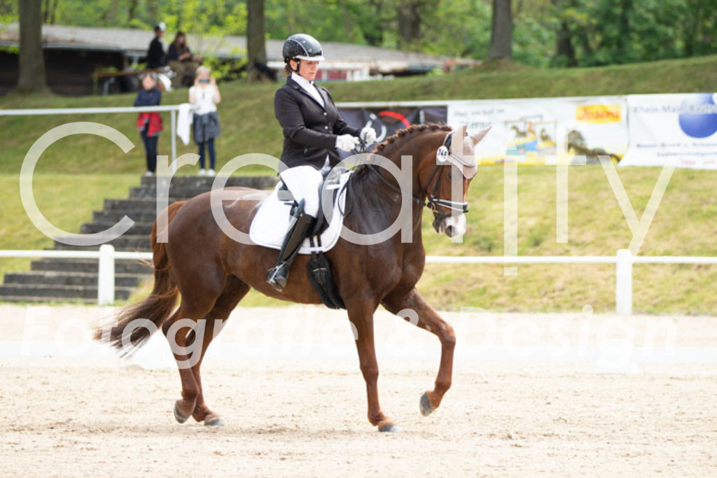 IMG_0904 | Creatify Fotografie