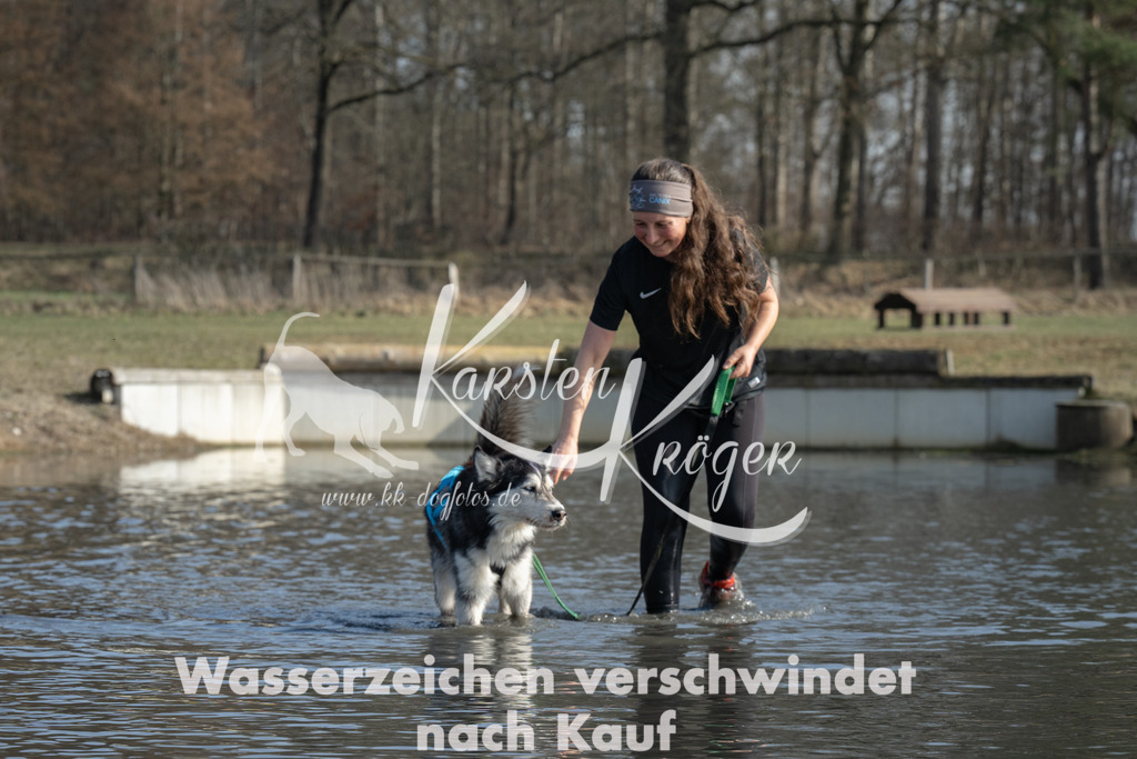 1330_ZZ96687 | kk-dogfotos