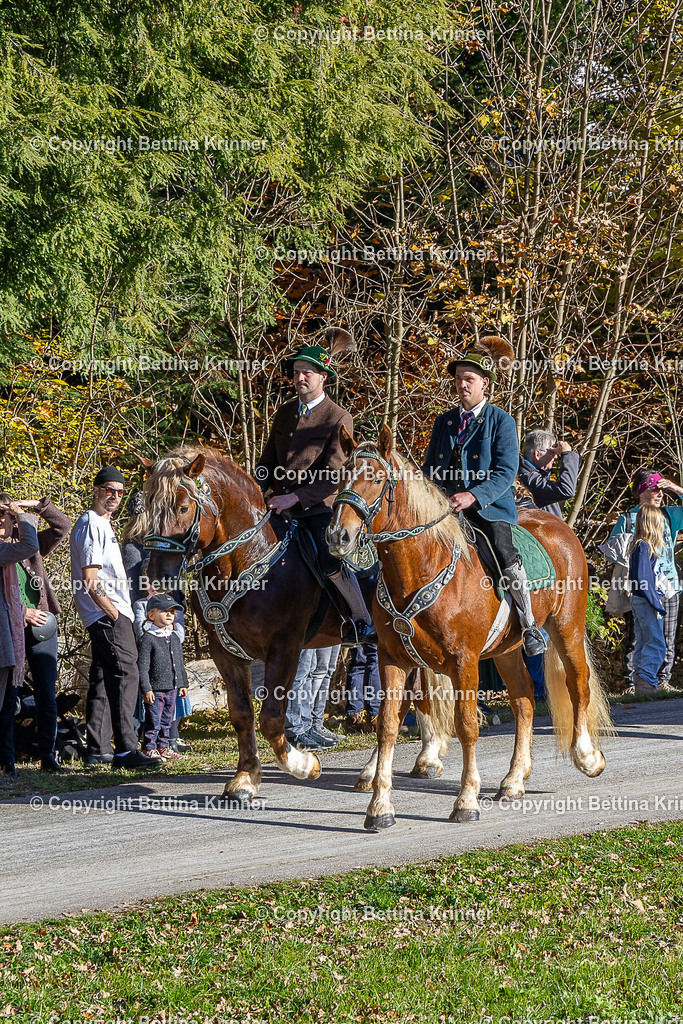 LBT25-778 | foto-bettina-krinner - Realisiert mit Pictrs.com