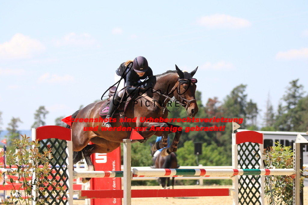 IMG_2480 | lmwpictures - Realisiert mit Pictrs.com