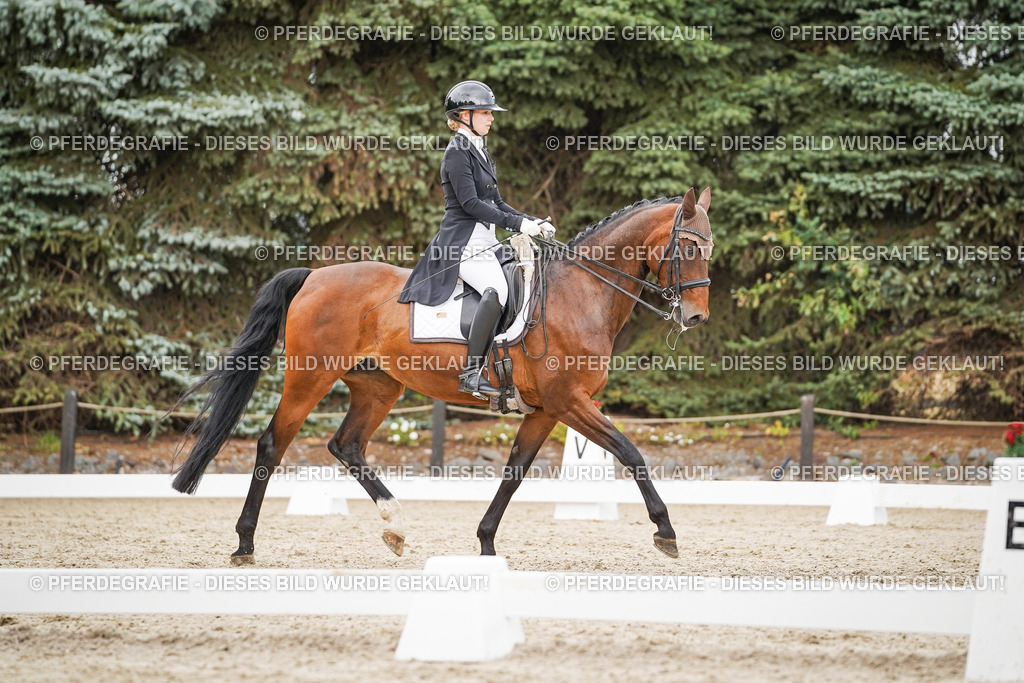 DSC05452 | Pferdegrafie