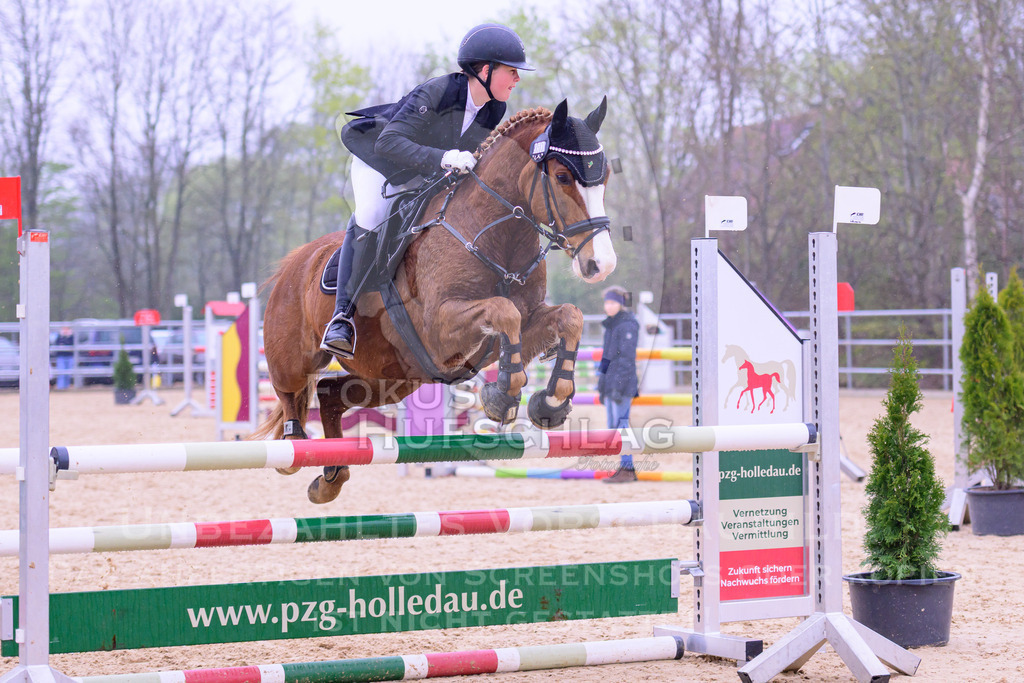 12042026-Mammendorf-Prfg41-0074 | Fokus Hufschlag Fotografie - Realisiert mit Pictrs.com