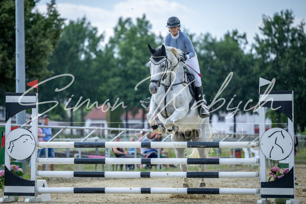 20260704-_3LI1577 | Tierfotografie Pferde, Hunde, Katzen, Haustiere.
Turnierfotografie Reitturniere, Reiten, Springreiten, Dressur in Hanau, dem Main-Kinzig-Kreis und dem Rhein-Main- Gebiet um Frankfurt