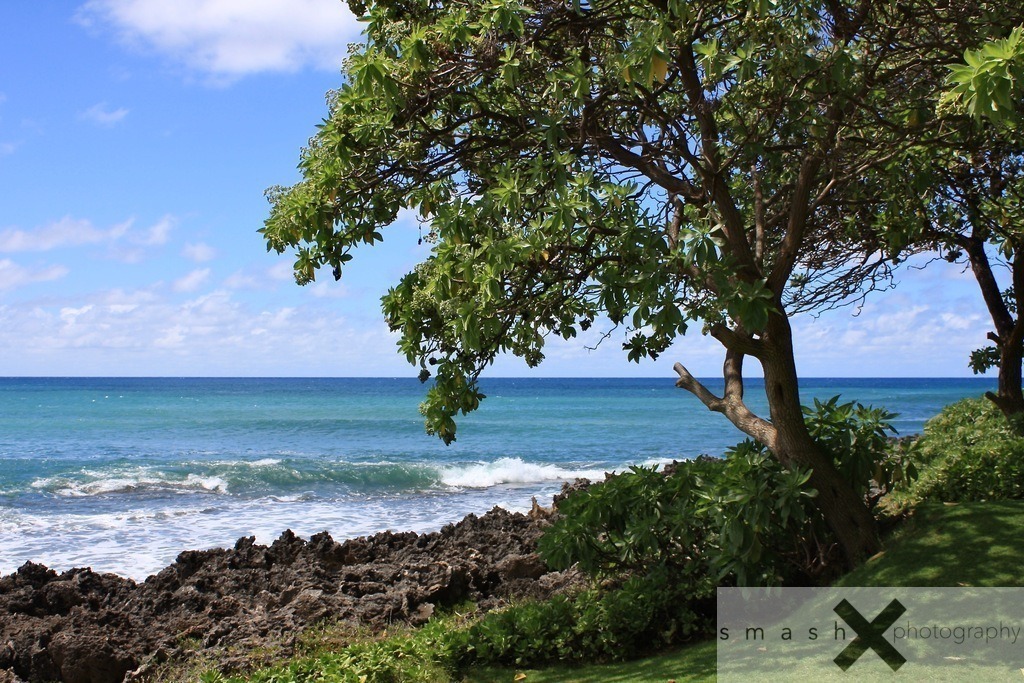 Turtle Bay 02 | Oahu, Hawaii (USA)