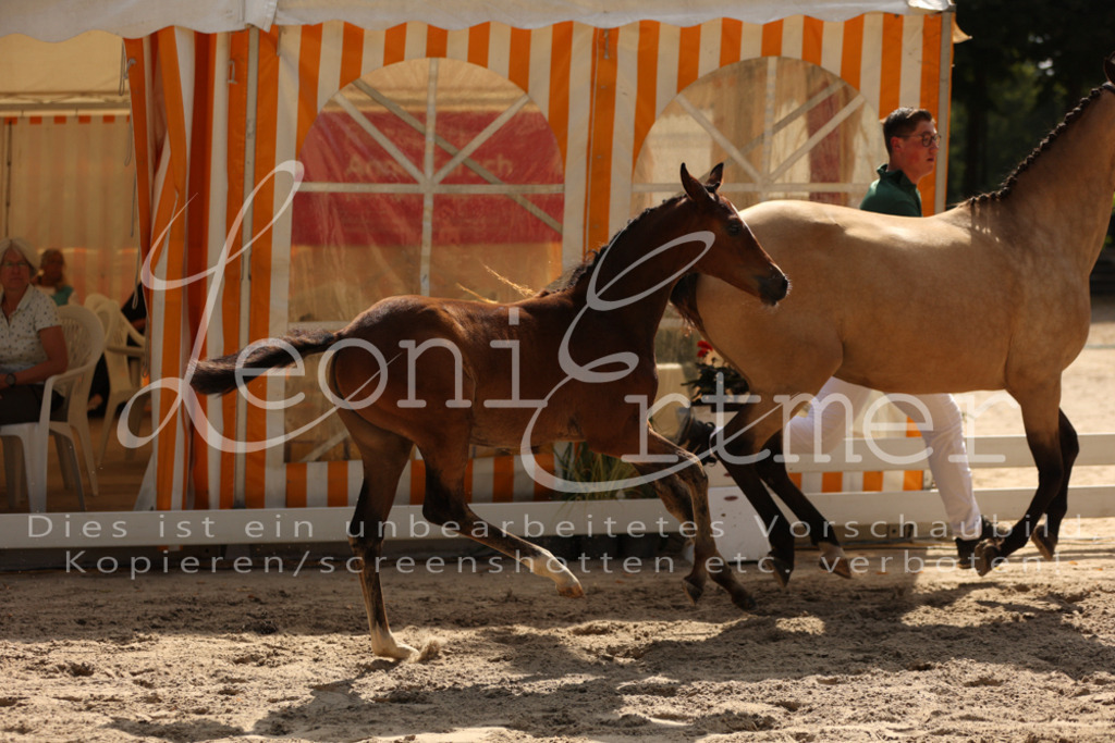 08.DoRPS00020 | Leoni Ertmer Photography - Realisiert mit Pictrs.com