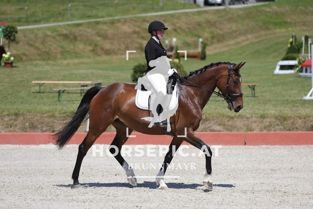 0P6A6585 | Willkommen bei Brunnmayr - Design & Fotografie – Ihrem Spezialisten für Reitturniere und Pferdeveranstaltungen in Oberösterreich, Salzburg und Bayern! Seit über 17 Jahren sind wir leidenschaftlich dabei.