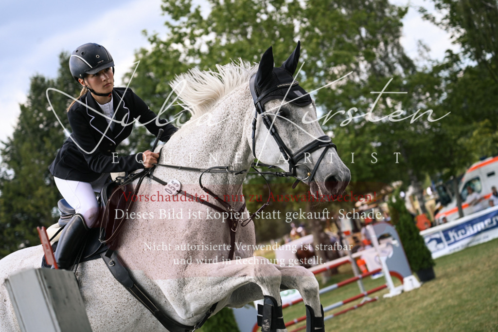 DSC_0986 | Pferde- und Turnierfotografie in Westsachsen. Pferdeportraits, Auftragszeichnungen und intuitive Kunst.