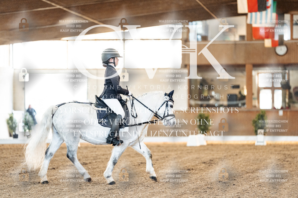 CK906395 | Turnierfotografie Pferdefotografie Trier Rheinland-Pfalz Pferdesport Reitsport Tierfotografie Sportfotografie Pferdevideo Pferdevideografie Equestrianvideography equestrianphotography  - Realisiert mit Pictrs.com