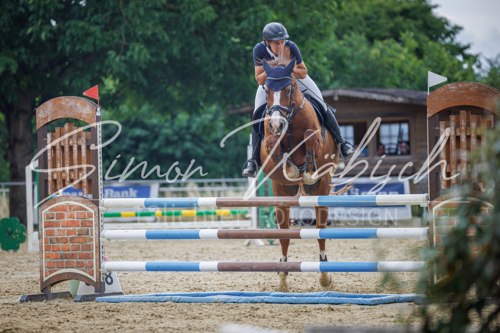20260705-_3LI6243 | Tierfotografie Pferde, Hunde, Katzen, Haustiere.
Turnierfotografie Reitturniere, Reiten, Springreiten, Dressur in Hanau, dem Main-Kinzig-Kreis und dem Rhein-Main- Gebiet um Frankfurt