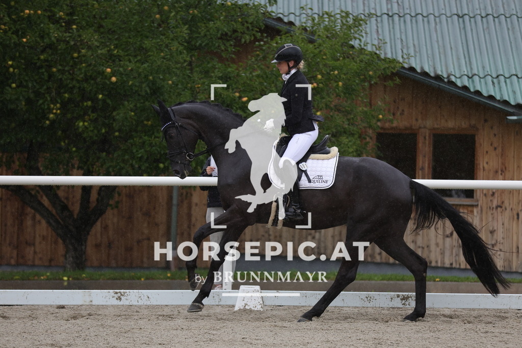 0P6A0467 | Willkommen bei Brunnmayr - Design & Fotografie – Ihrem Spezialisten für Reitturniere und Pferdeveranstaltungen in Oberösterreich, Salzburg und Bayern! Seit über 17 Jahren sind wir leidenschaftlich dabei.