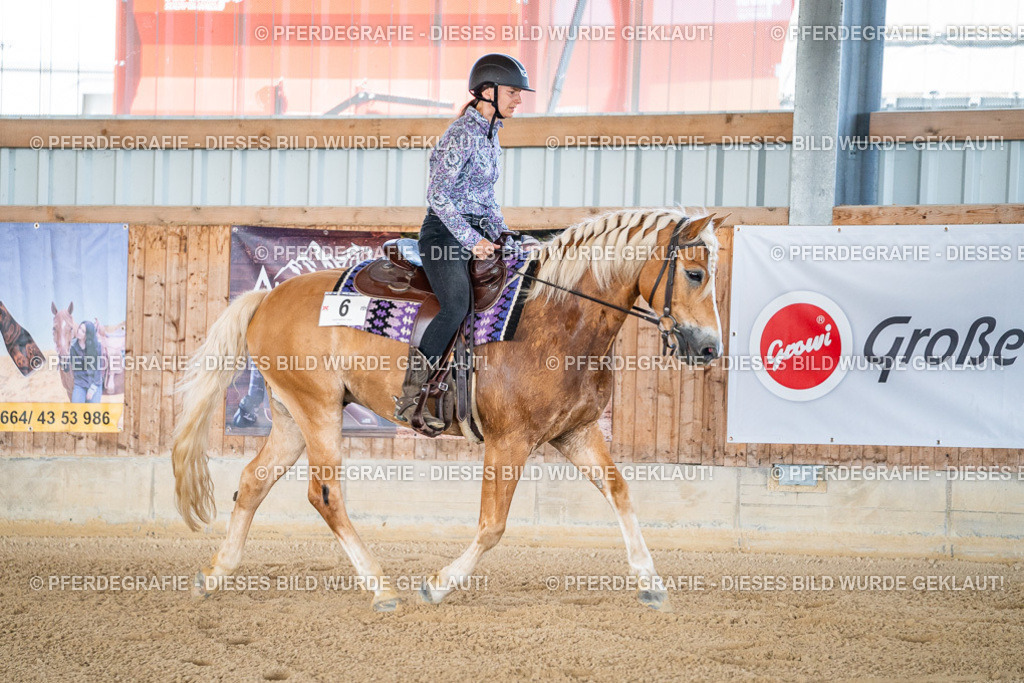 DSC02489 | Pferdegrafie