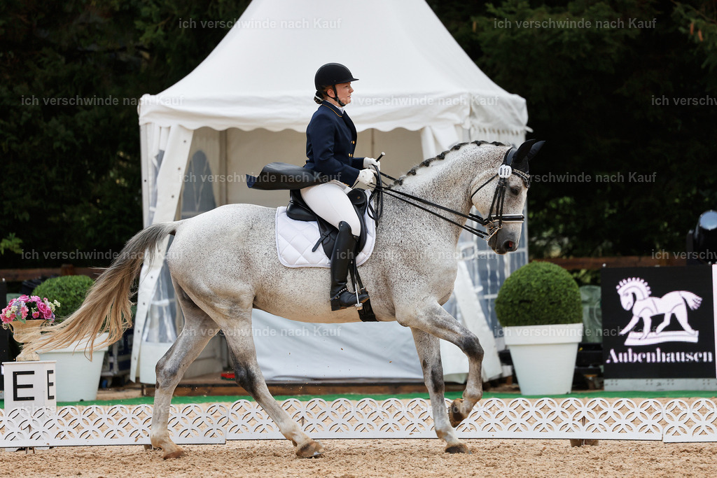 8_2-017-DRESSUR S_  -StoibPH-4531 | working equitationturnier fotograf videograf stoibphotography marixx film working equitation deutschland reitsport turnierfotografie eventfotografie equestrian events