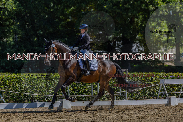 15.8.25 -3- DRE A-107 | mandyhollmannphotographie