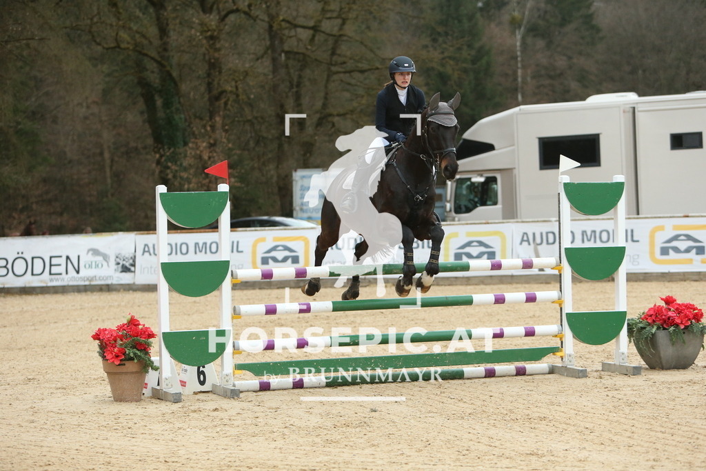 DL2Q3036 | Willkommen bei Brunnmayr - Design & Fotografie – Ihrem Spezialisten für Reitturniere und Pferdeveranstaltungen in Oberösterreich, Salzburg und Bayern! Seit über 17 Jahren sind wir leidenschaftlich dabei.