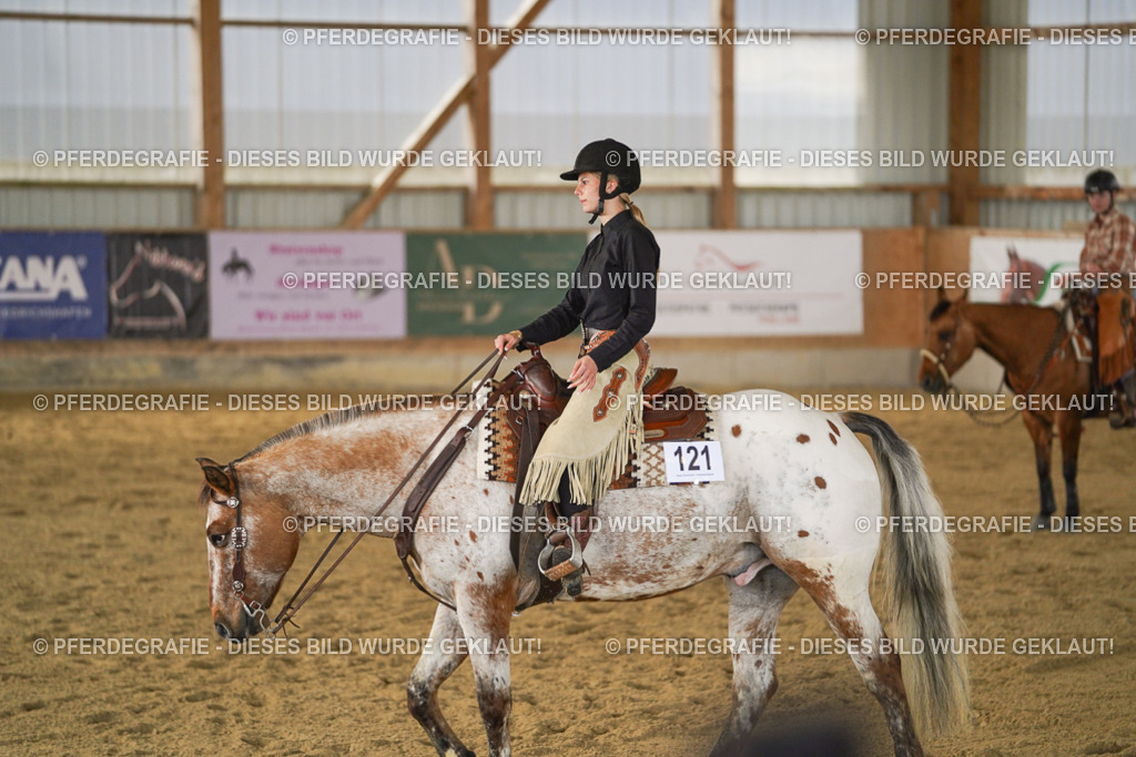 DSC09013 | Pferdegrafie