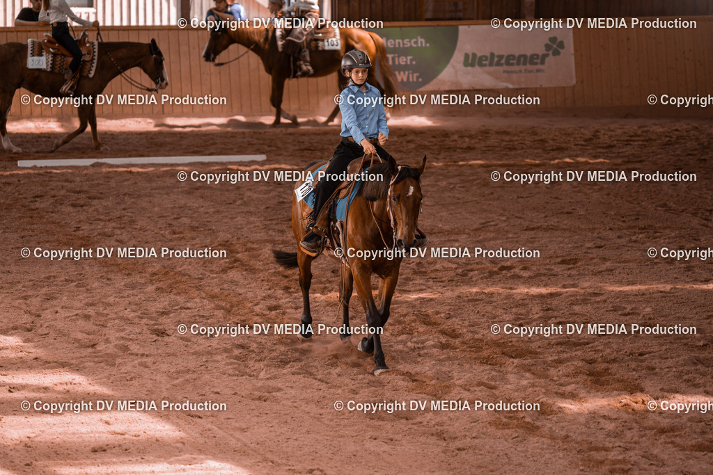 NE300364 | dv-media-shop - Realisiert mit Pictrs.com