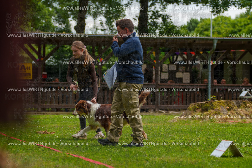 @allesWIRTHgut_Tierfotografie - www.allesWIRTHgut.de - 7R500642 | Professionelle Tierfotografie in Mönchengladbach von Daniel Wirth (allesWIRTHgut). Liebevolle & natürliche Bilder von Hunden & Katzen für unvergessliche Erinnerungen.