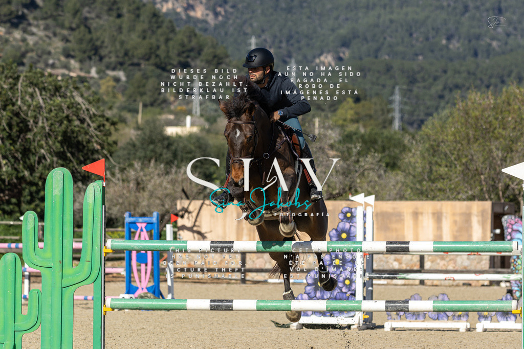 IMG_6946 | s-jay-photography - Realisiert mit Pictrs.com