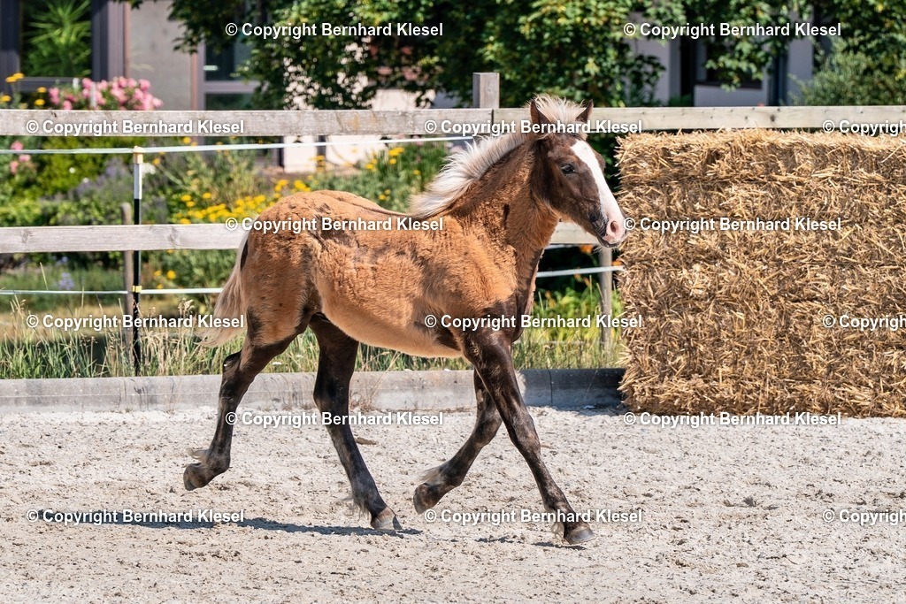 2A906822 | foto-team-bernhard - Realisiert mit Pictrs.com