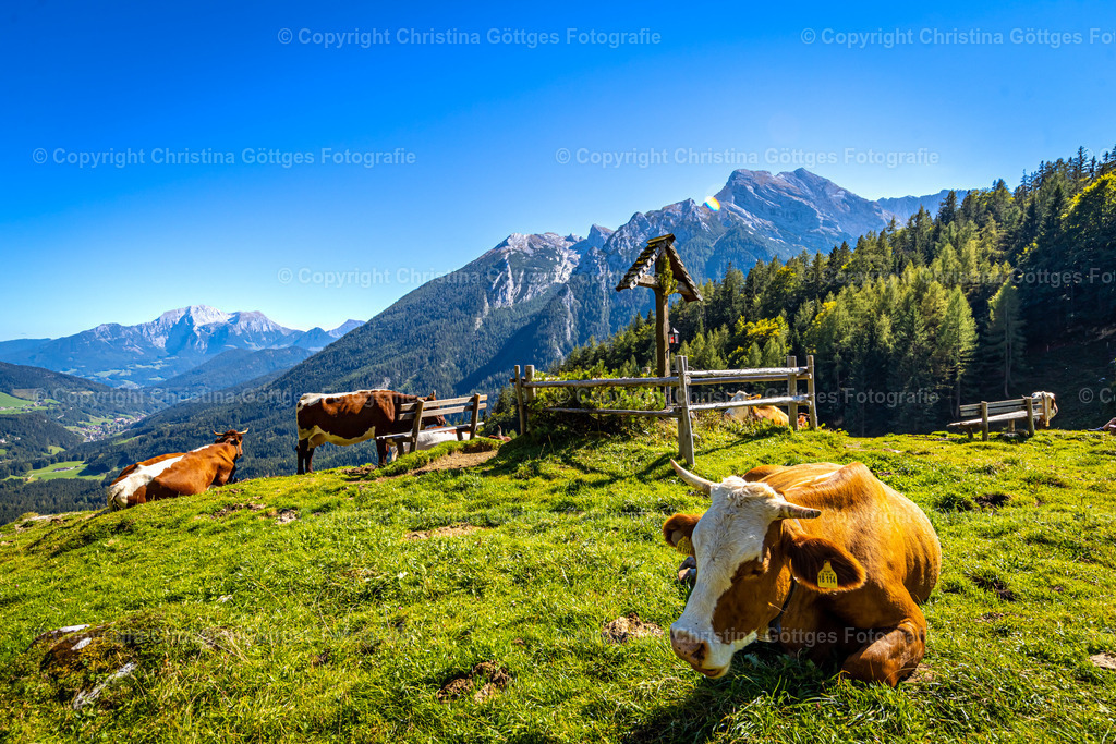 _75A5096 (1) | Leinwand, Berchtesgaden, Leinwand Berchtesgaden, 
Bilder Berchtesgaden, Foto Druck, Kalender Berchtesgaden, 
Fotogalerie Berchtesgaden, Rahmen, Fotograf Berchtesgaden,
Fotograf, Landschaftsbilder, Drohnenaufnahmen, Berchtesgadener Land, Foto  - Realisiert mit Pictrs.com