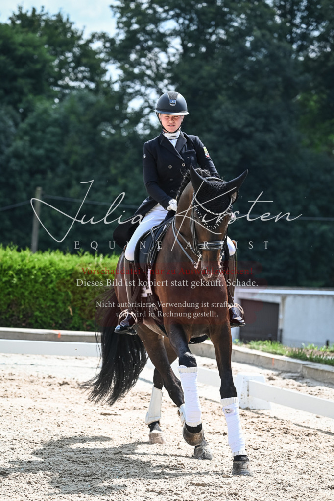 DSC_2672 | Pferde- und Turnierfotografie in Westsachsen. Pferdeportraits, Auftragszeichnungen und intuitive Kunst.