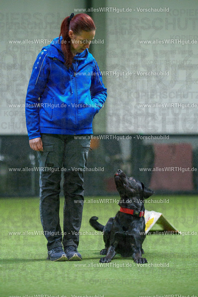 7R504158 | Professionelle Tierfotografie in Mönchengladbach von Daniel Wirth (allesWIRTHgut). Liebevolle & natürliche Bilder von Hunden & Katzen für unvergessliche Erinnerungen.