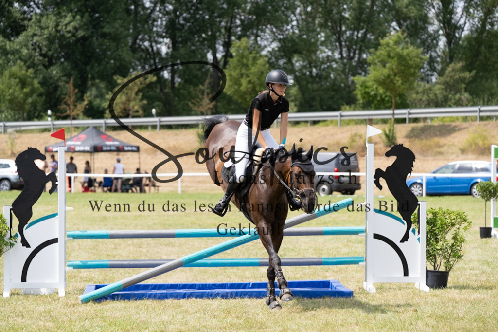 A7V01951 | Pferdefotograf