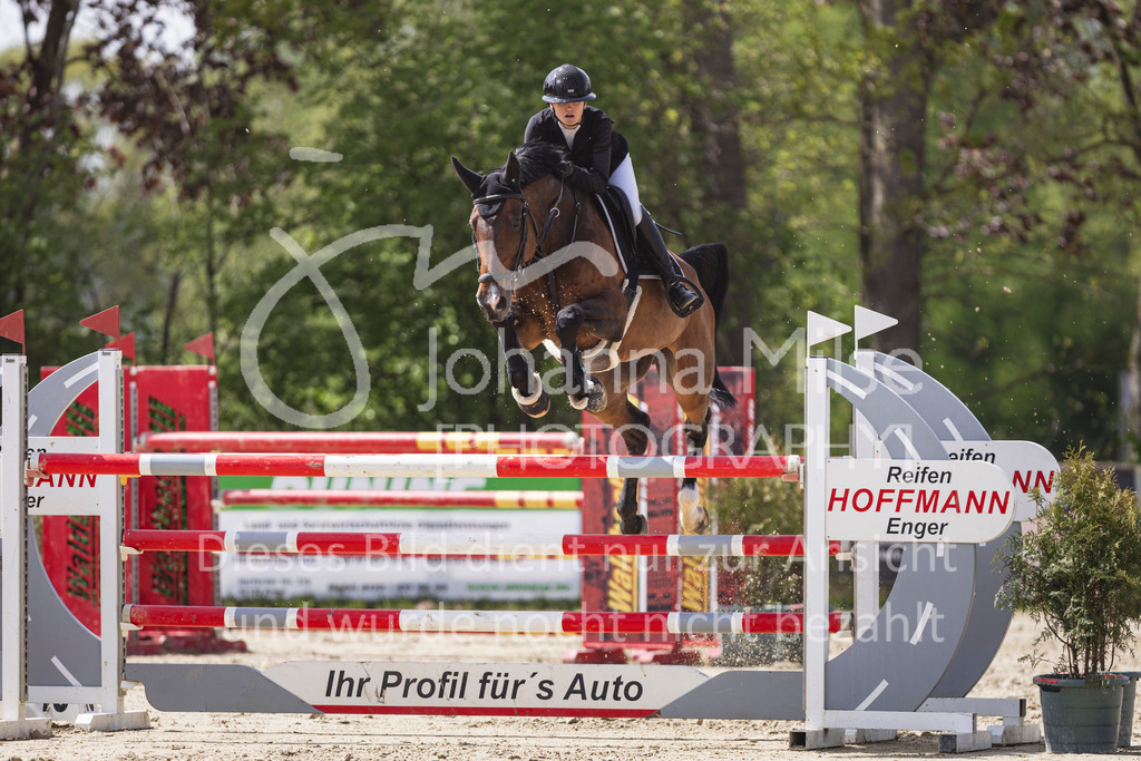 260502_Spenge_10_Punkte-M2-118 | Deine schönsten Turniermomente als professionelle Fotos! Entdecke hochwertige Pferdesport-Fotografie im Online-Shop. Jetzt Fotos finden & bestellen!