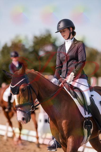 2026_10_03_Siefer-Hof_133202_Z81_87780919 | Professionelle Reitsport-, Turnier- und Eventfotografie von Robert Broda. Galerien mit ausgewählten und bearbeiteten Bildern direkt online ansehen und bestellen.