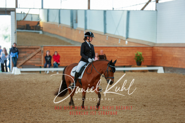 _62_8033 | Turniersportfotografie; Pferdefotografie; Dressurfotografie