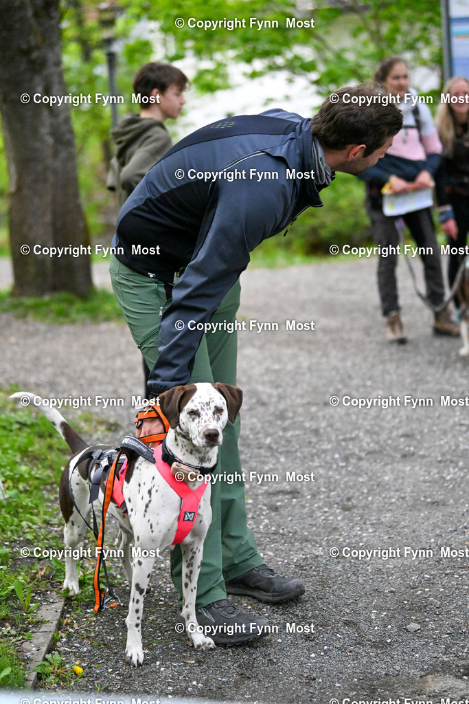 DSC_1009 | Hallo und herzlich Willkommen auf meiner Shop-Seite Fynn Most.

Ich wünsche Dir viel Spaß beim stöbern durch die Bilder, wenn Du Fragen hast oder Bilder vermisst, kannst du mir gerne eine Nachricht schreiben. - Realisiert mit Pictrs.com