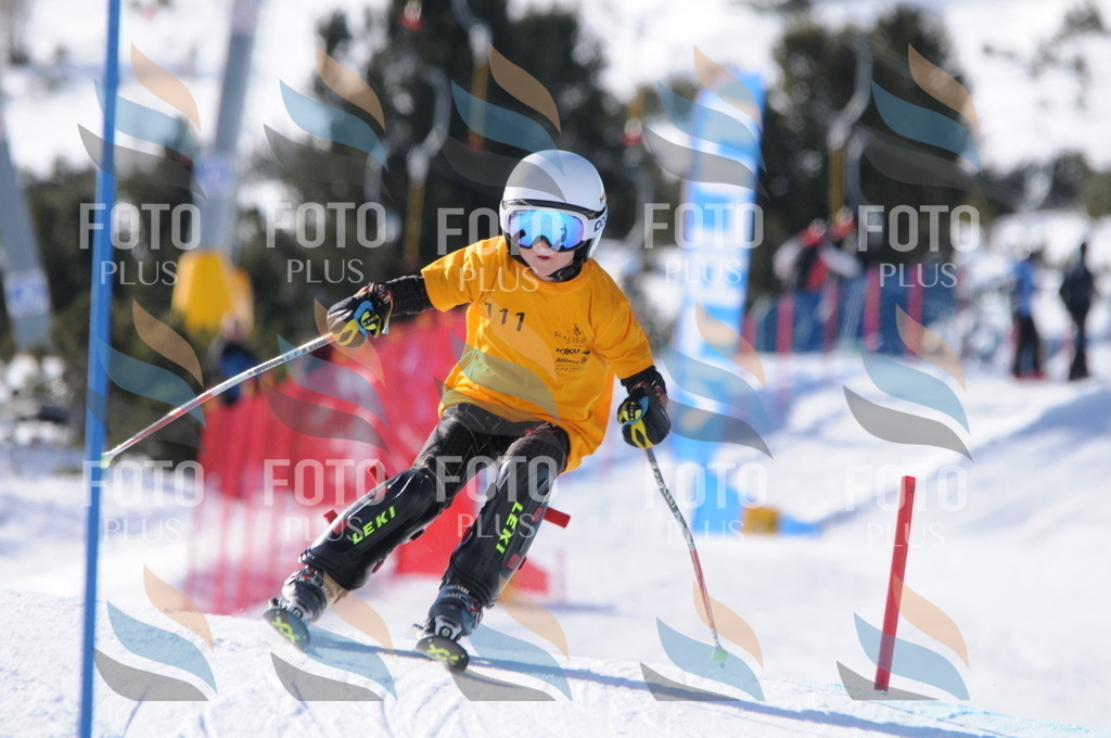 C7125 | holidayphoto