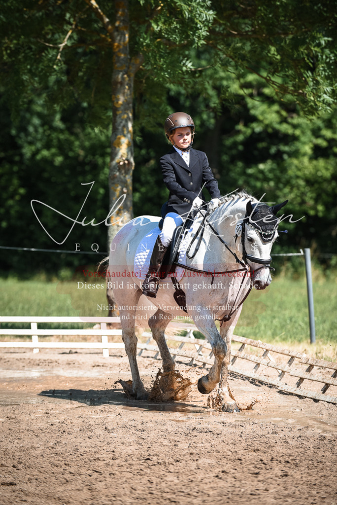 DSC_3593 | Pferde- und Turnierfotografie in Westsachsen. Pferdeportraits, Auftragszeichnungen und intuitive Kunst.