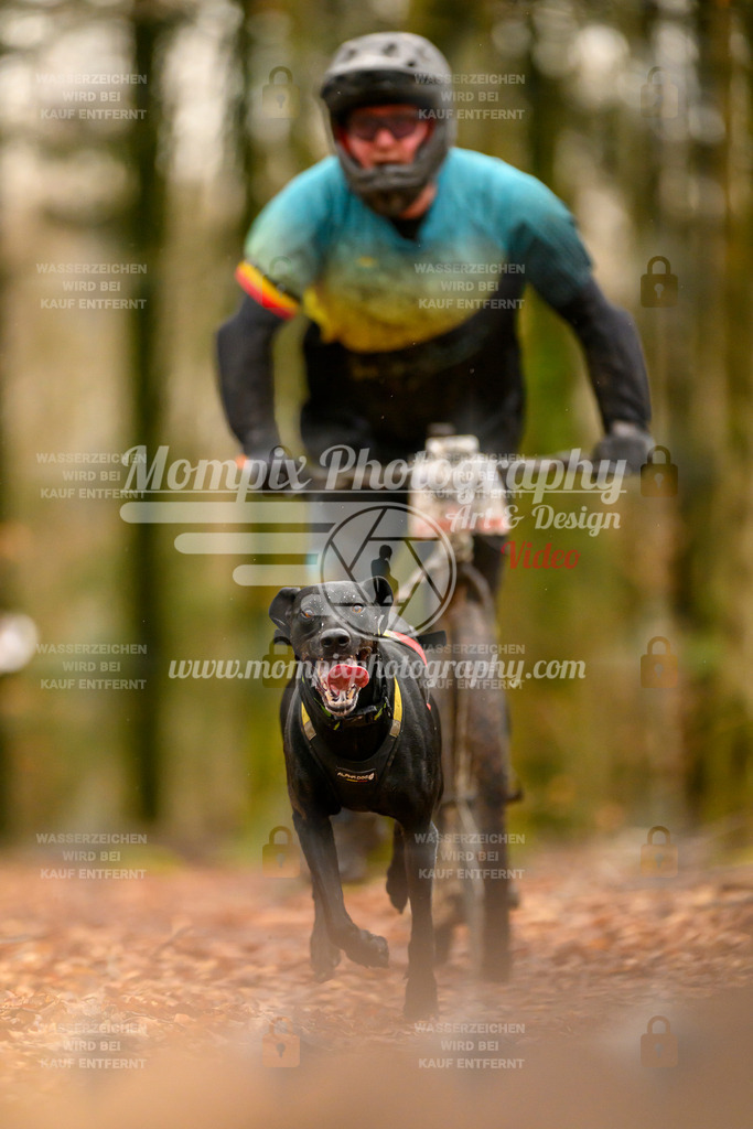 MompixPhotography_Habay2024_SA_Scooter-33 | PayLife