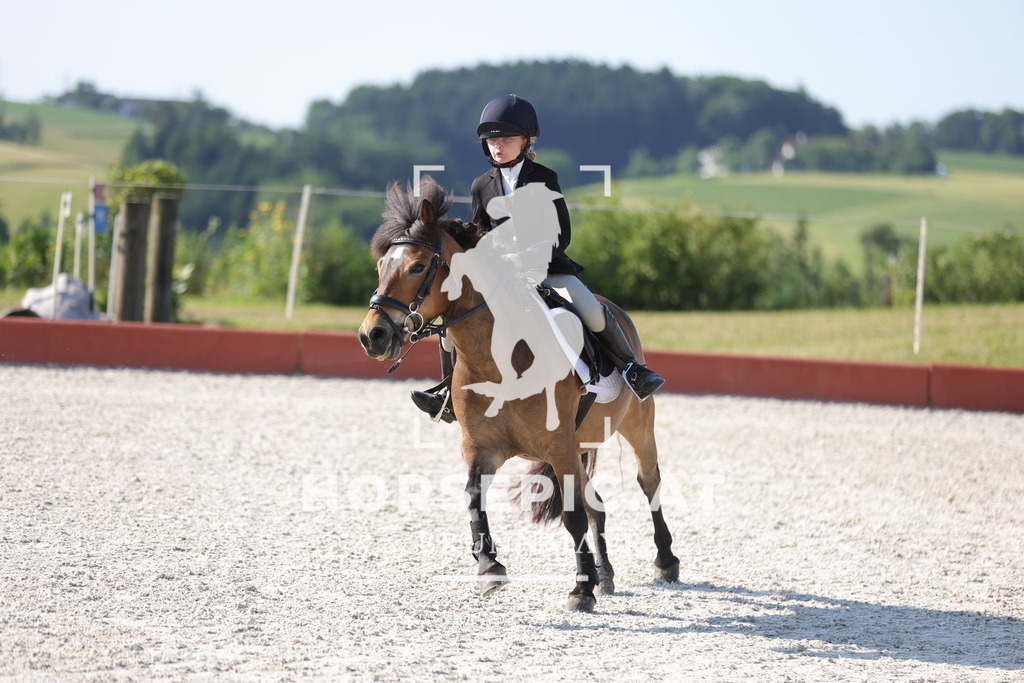 0P6A7090 | Willkommen bei Brunnmayr - Design & Fotografie – Ihrem Spezialisten für Reitturniere und Pferdeveranstaltungen in Oberösterreich, Salzburg und Bayern! Seit über 17 Jahren sind wir leidenschaftlich dabei.